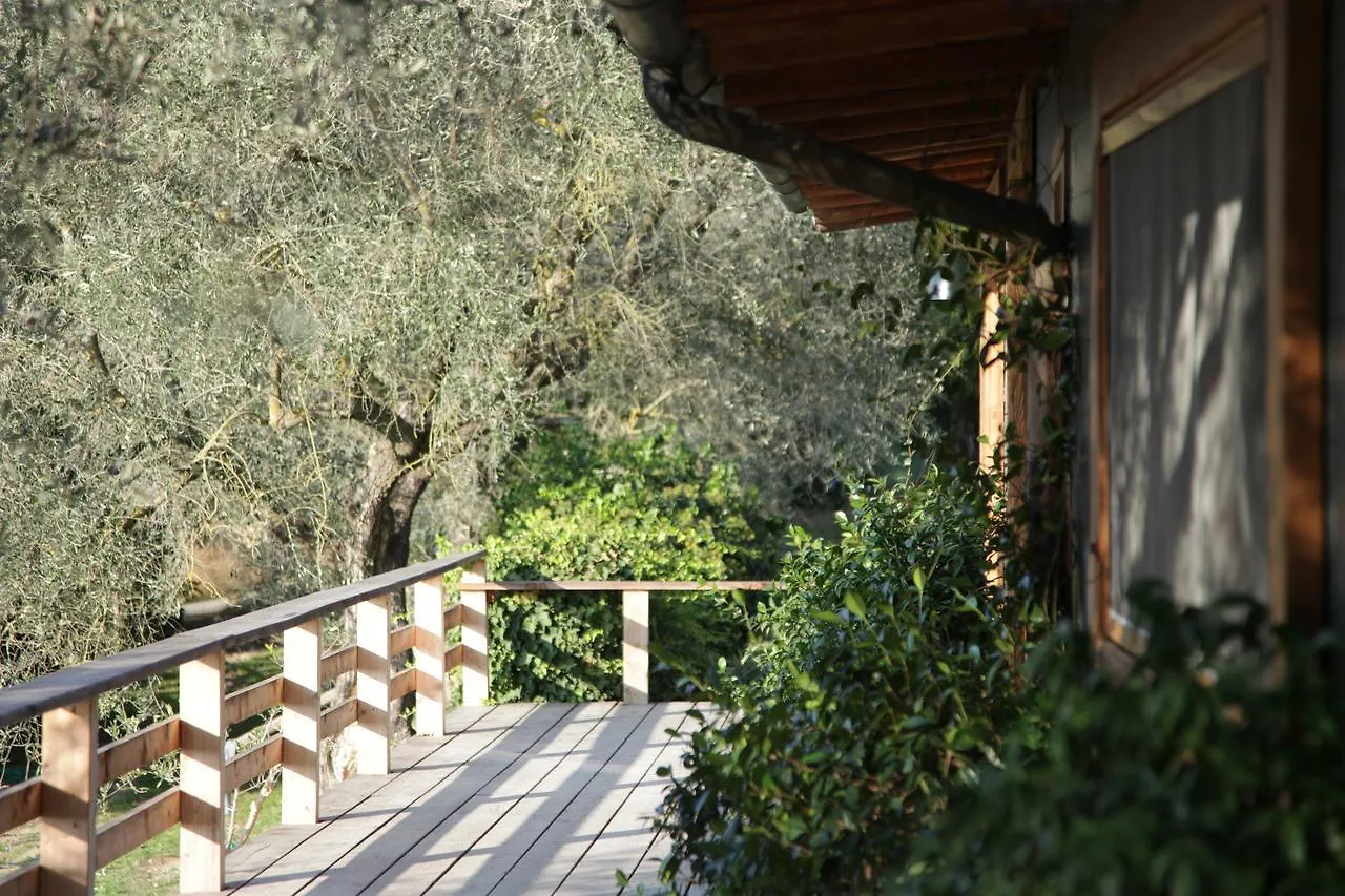 Madonnella Agricola Villa Cesano