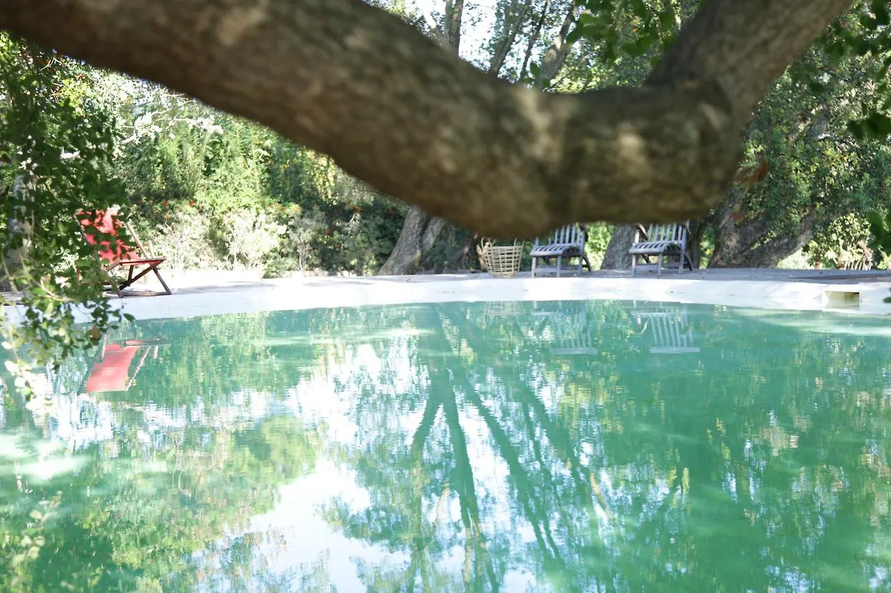 Alloggio per agriturismo Madonnella Agricola Villa Cesano