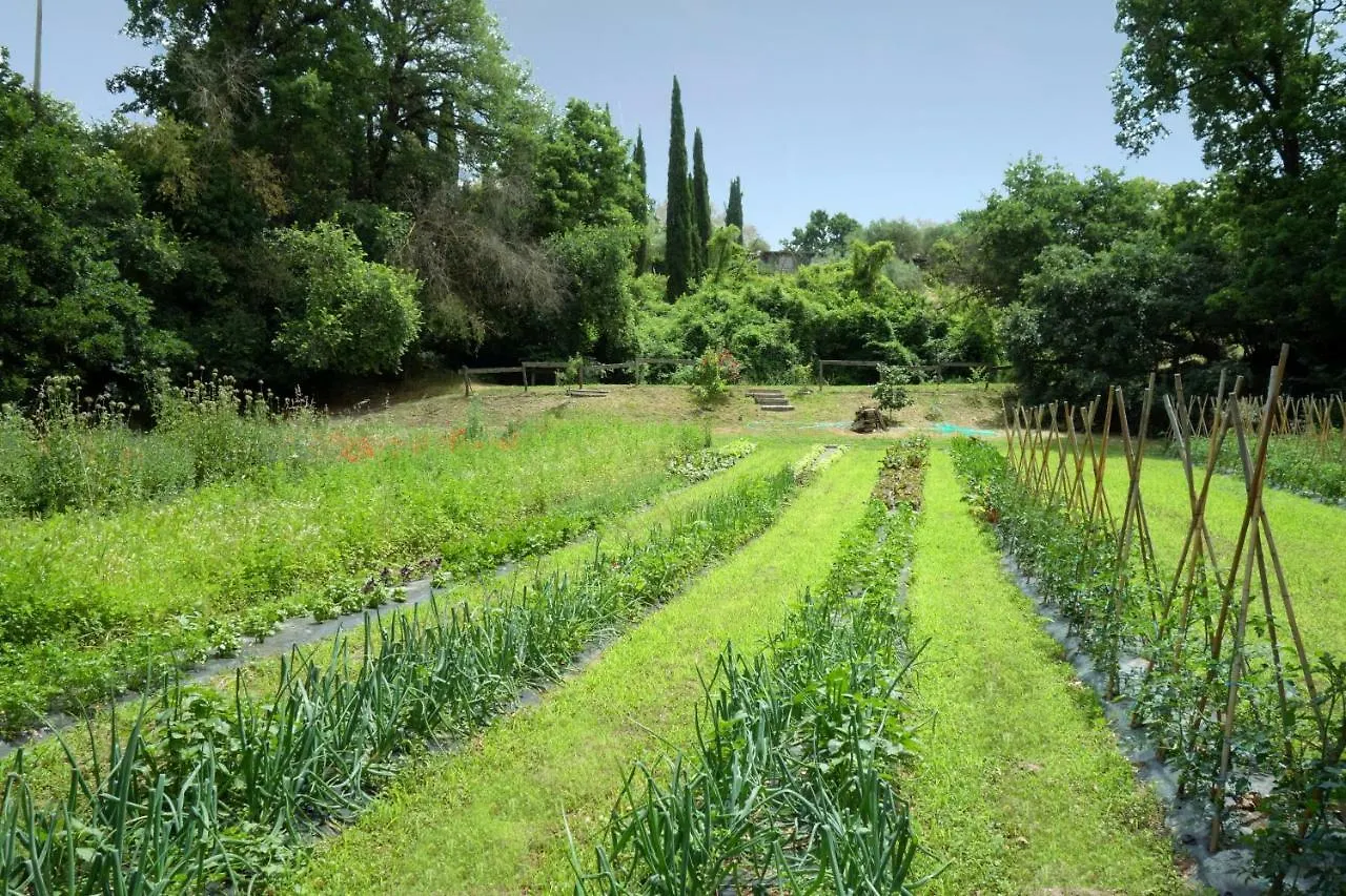 Madonnella Agricola Villa Cesano Italia